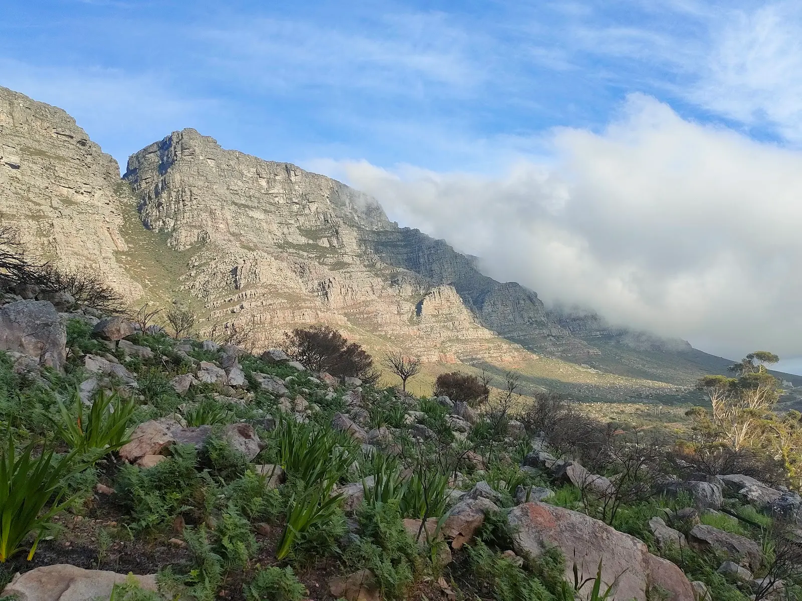 Devil's Peak Hike Start, photo 7