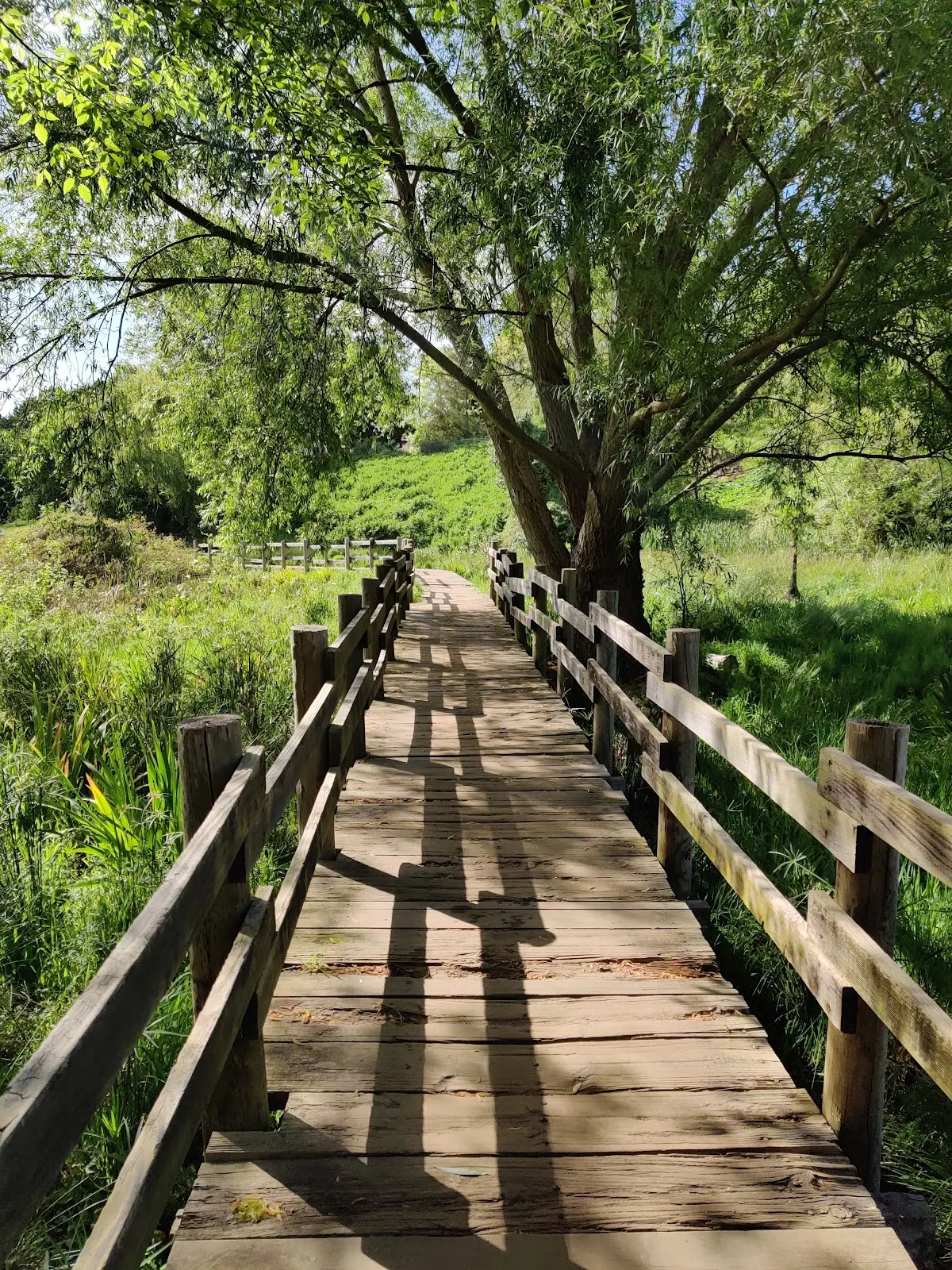 Alphen Trail, photo 4