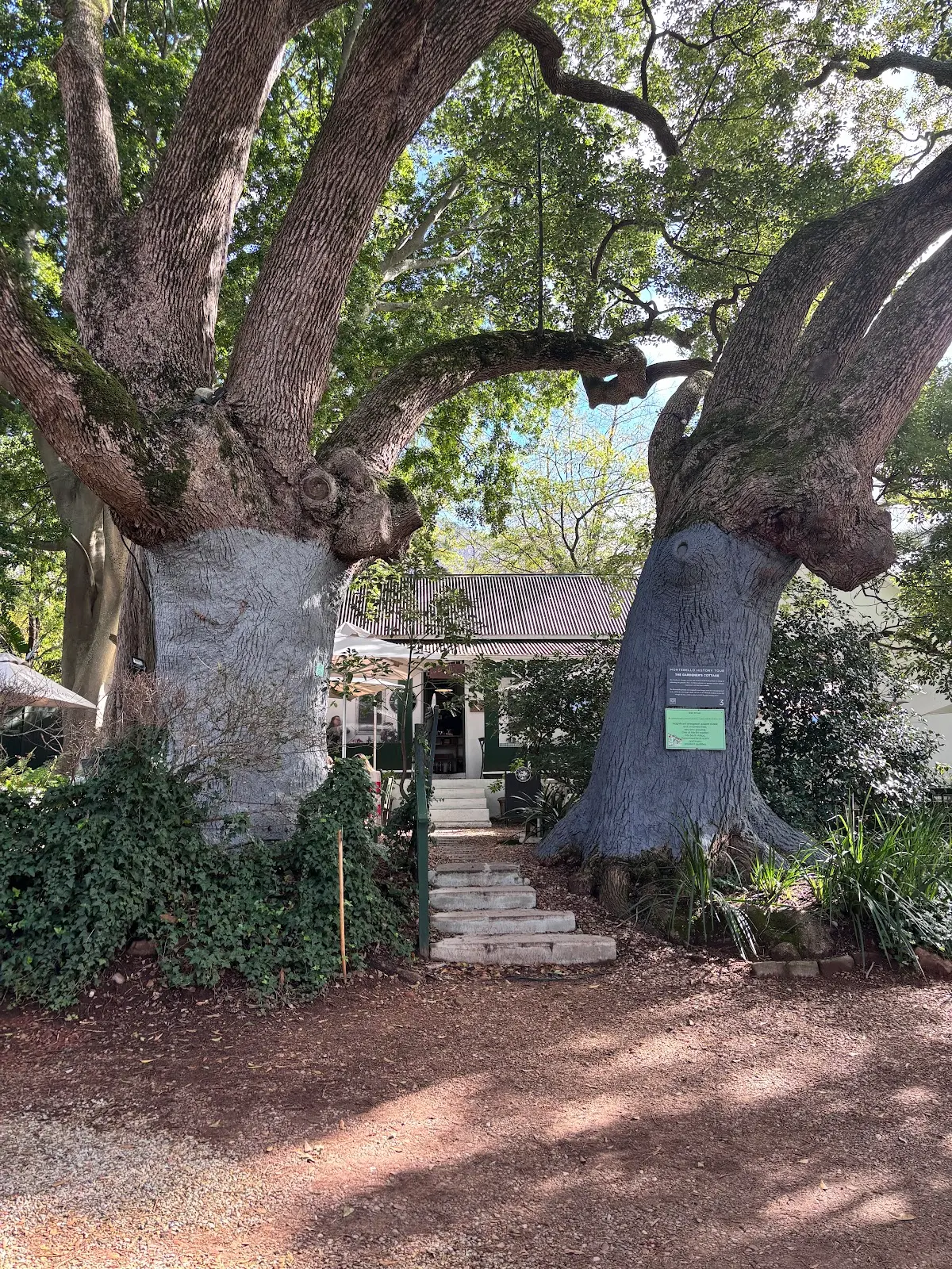 The Gardeners Cottage Restaurant, photo 2