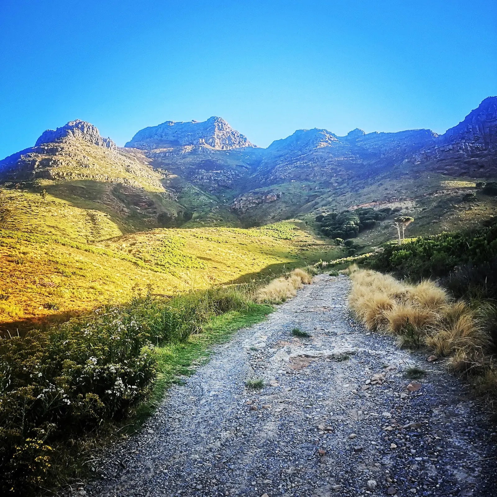 Devil's Peak Hike Start, photo 8