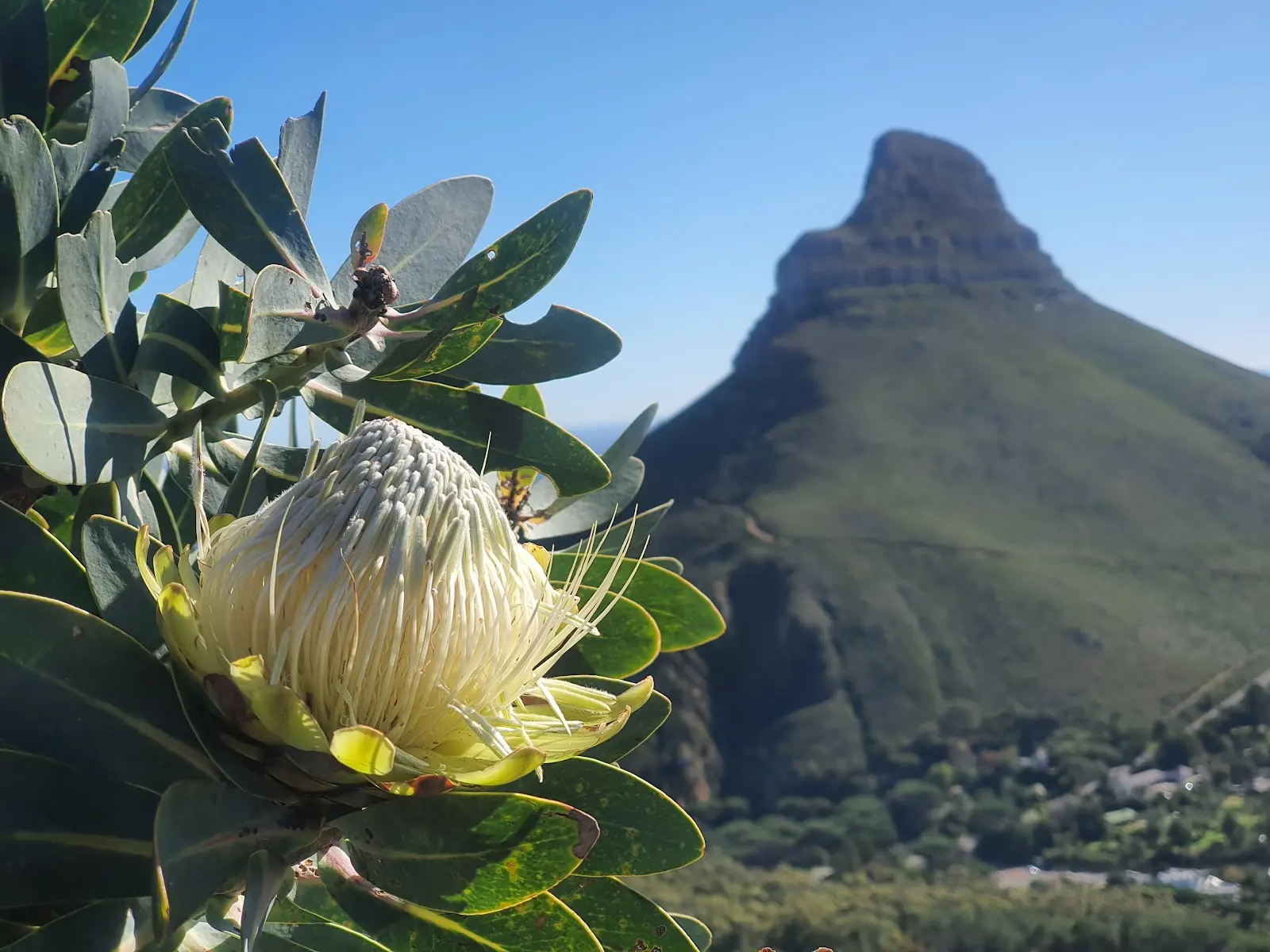 Kloof Corner, photo 7