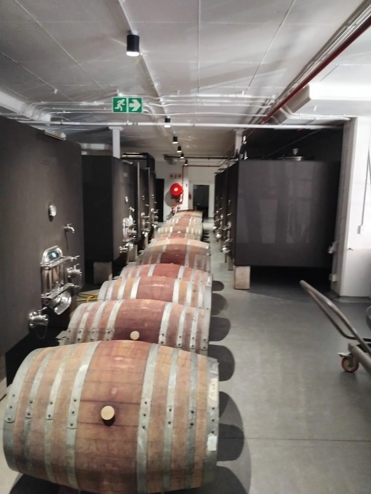 Minimalist Wines, photo 10