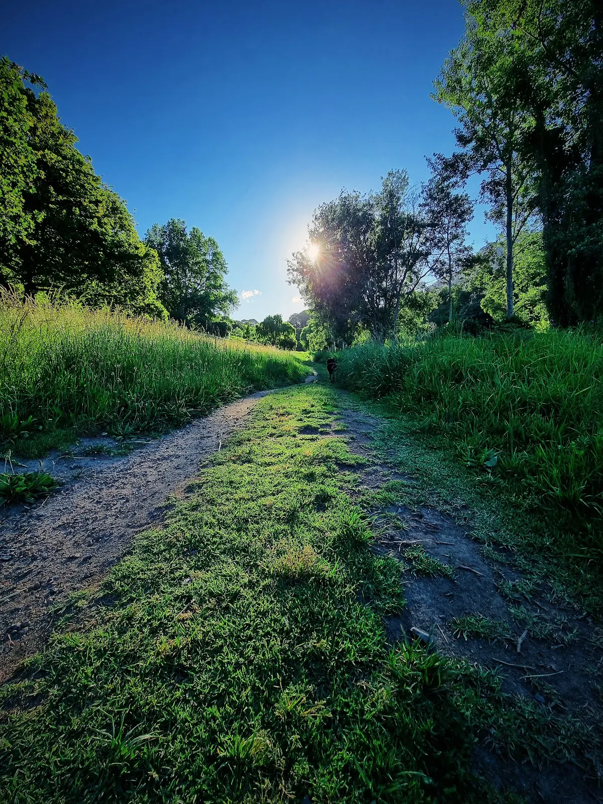 Alphen Trail, photo 5