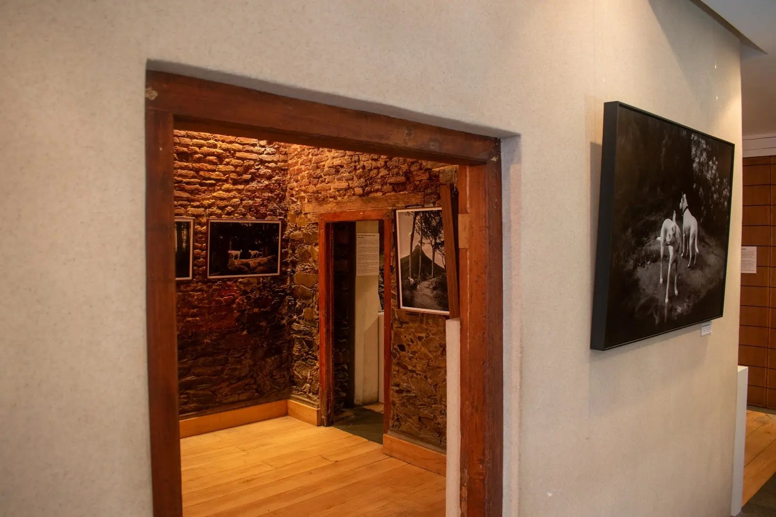 Museum of Dogs