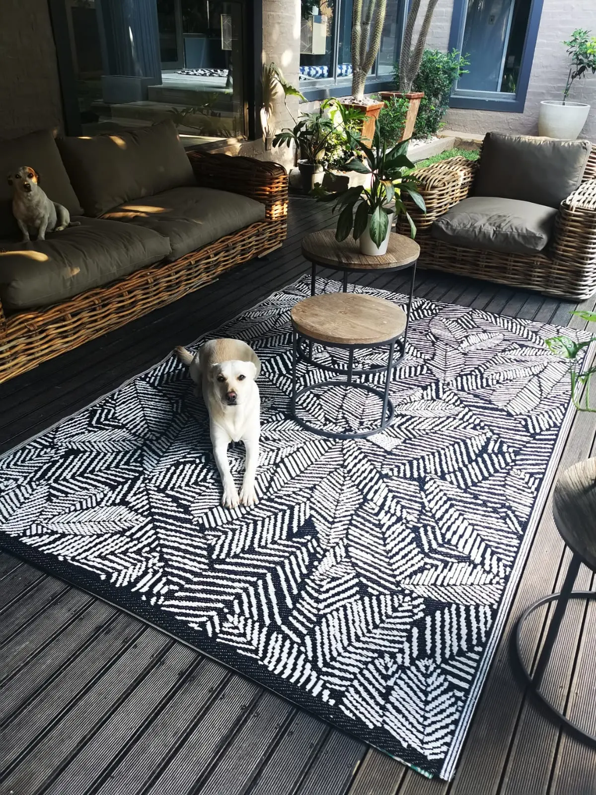 India Ink Home Decor - Constantia, photo 8
