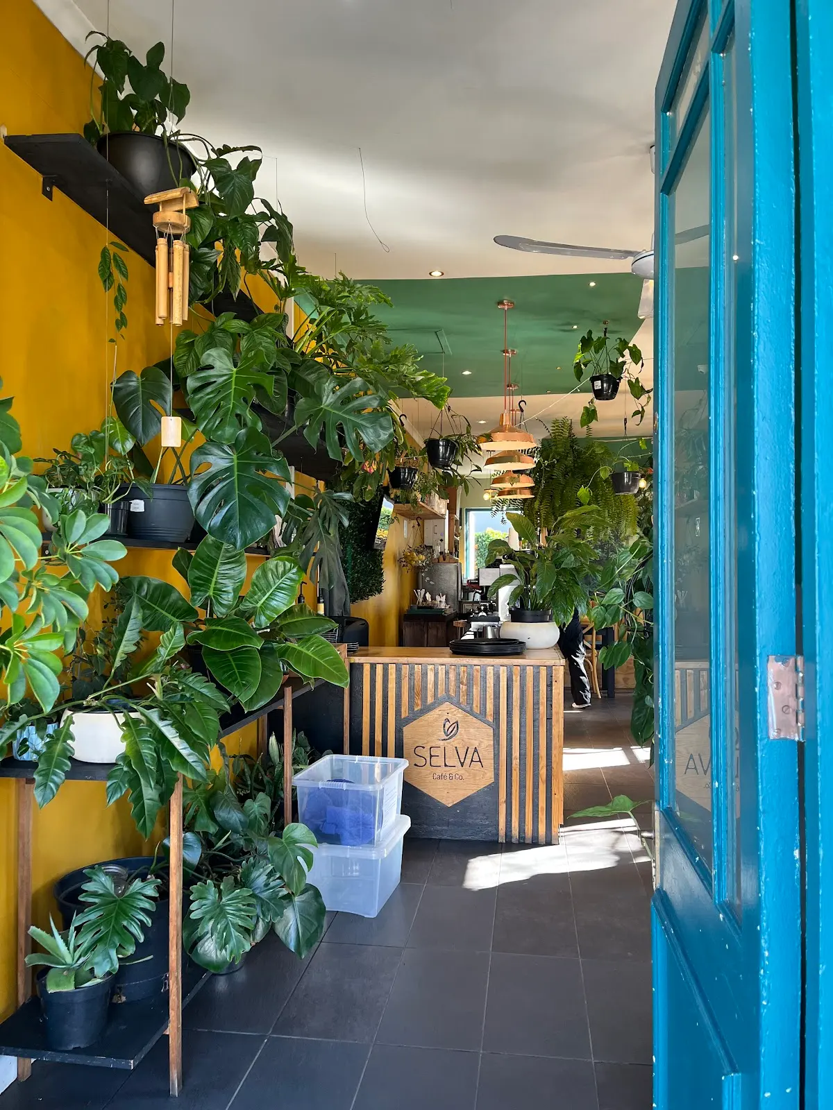 Selva Cafe & Co., photo 2