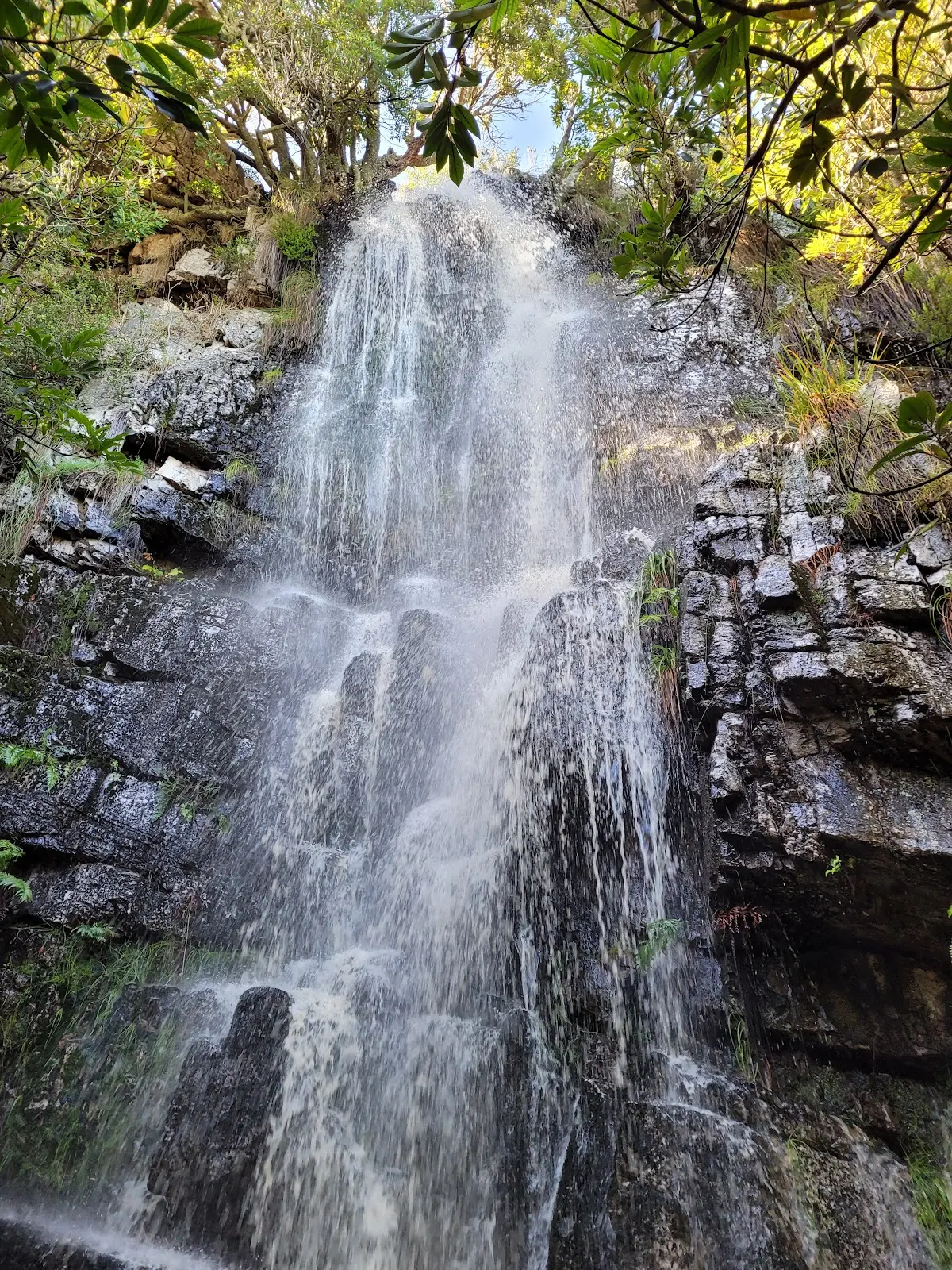 Silvermine Waterfall, photo 4